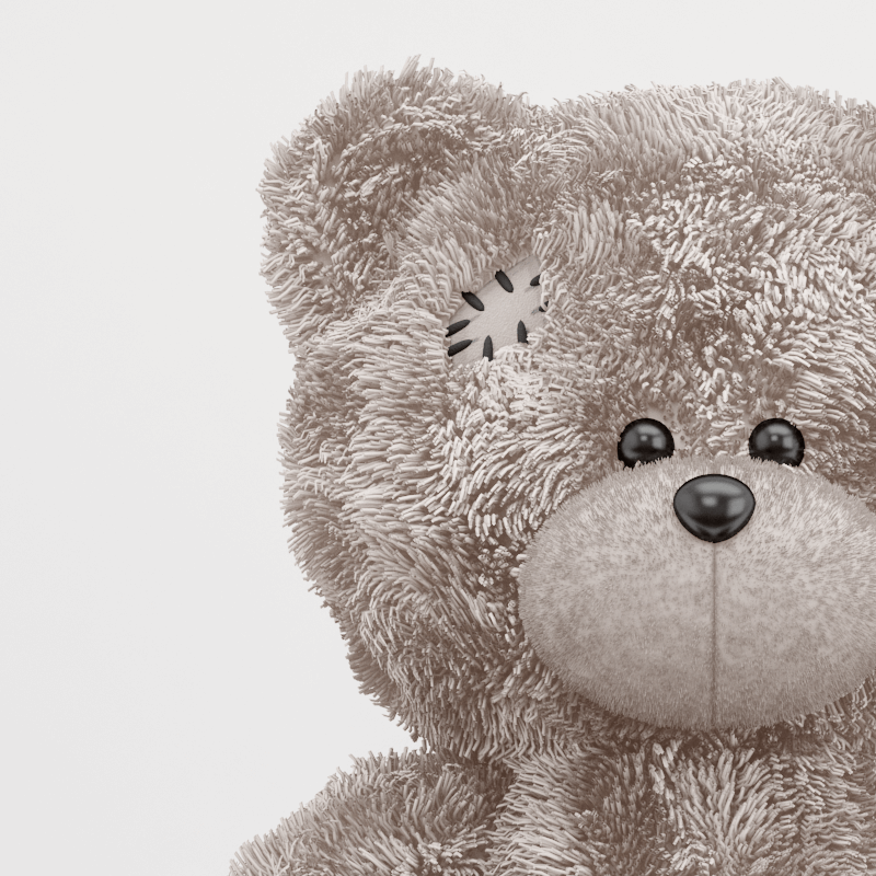 Maecenas varius maximus - Image 3