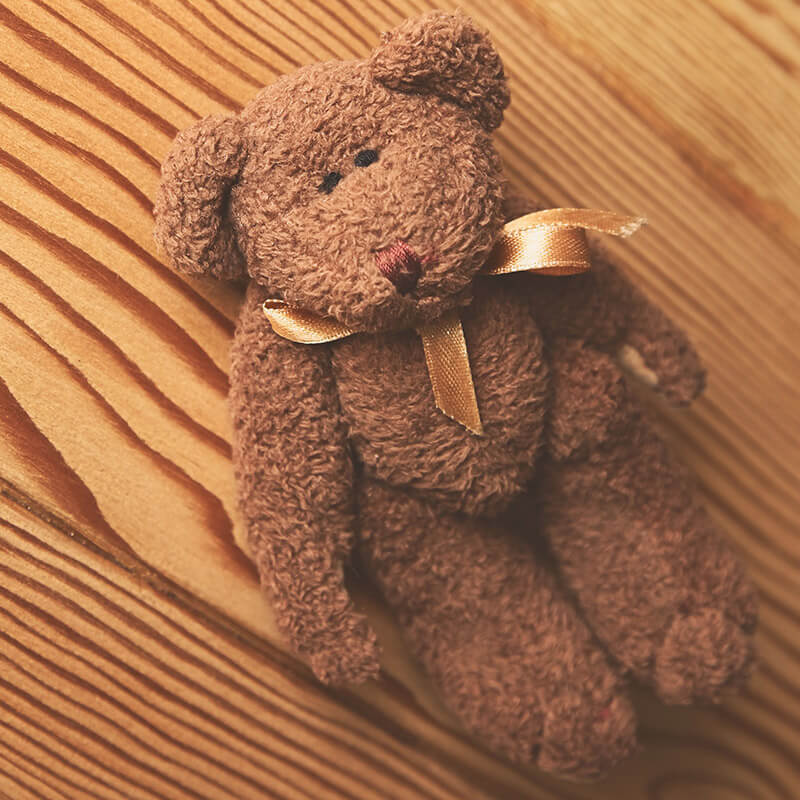 Maecenas varius maximus